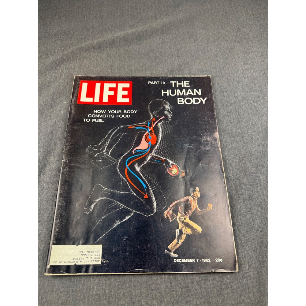 LIFE  Dec 7 1962 The Human Body Part II How Your‎ Body Converts Food To Fuel